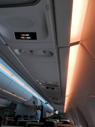 Interior of the plane