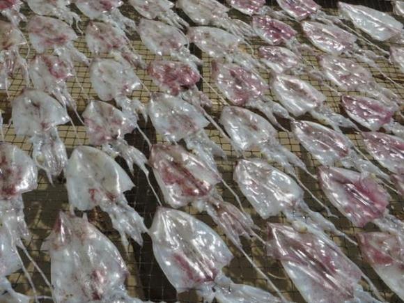 Dried fish near Sheraton