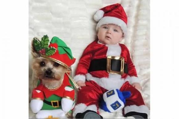holiday card