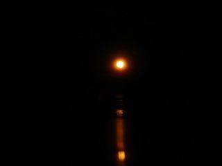 broome 041