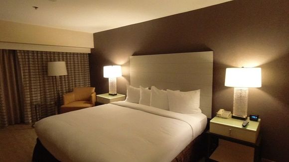 Hilton LAX King Room