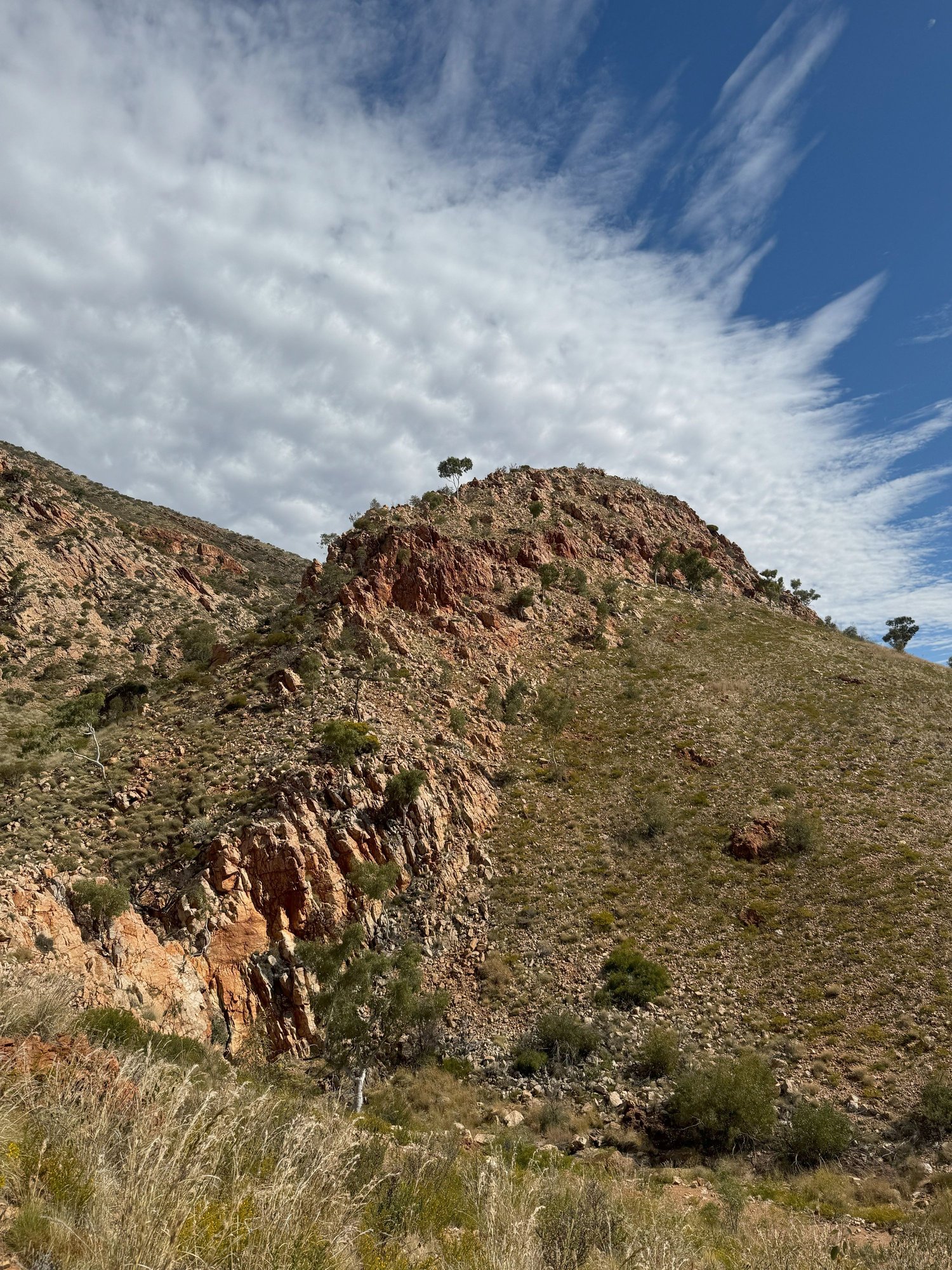 From the car park we climbed to the top of this ridge for a view into the Pound