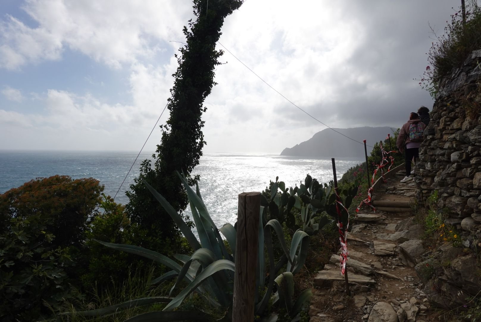 Not a great photo, but this is what a lot of the trail looks like. You spend 95% of your time watching your next step rather than admiring the view