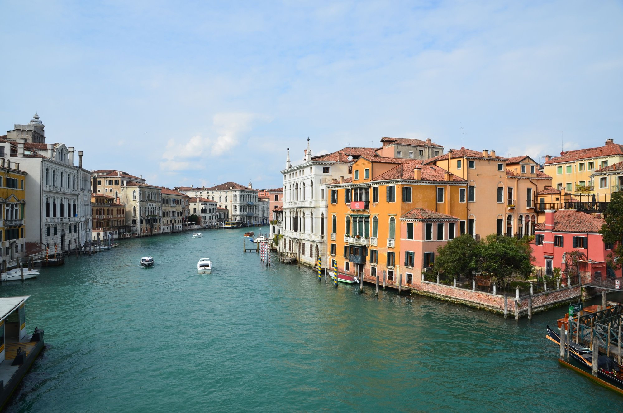 View from Ponte dell'Accademia