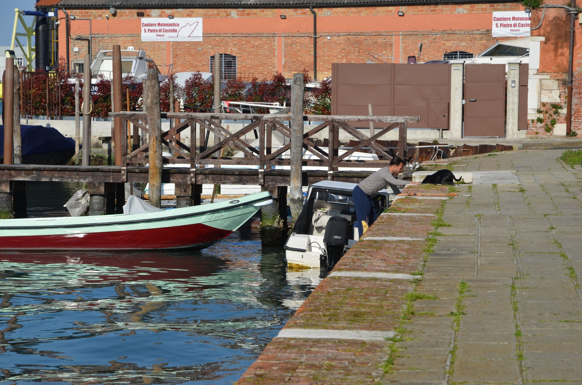 The man and the dog, part 2