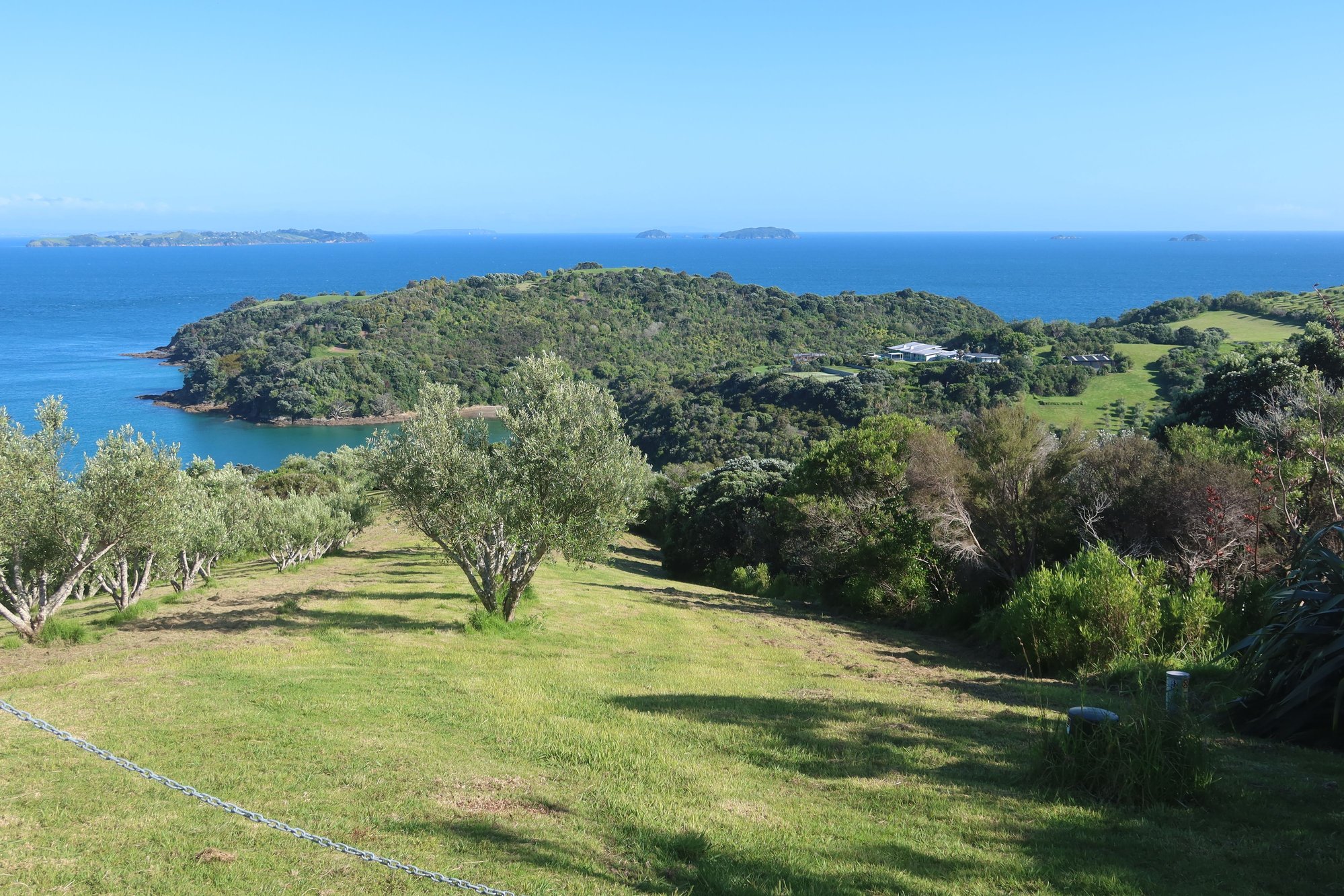 View from Te Ara Hura Trail