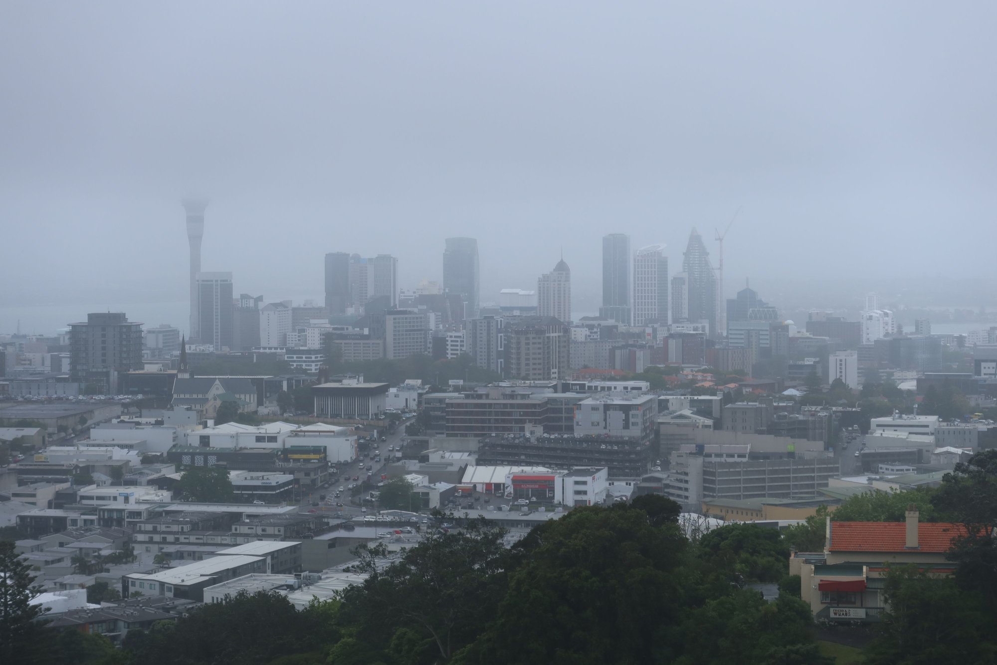 City Skyline in the Fog from Mt. Eden