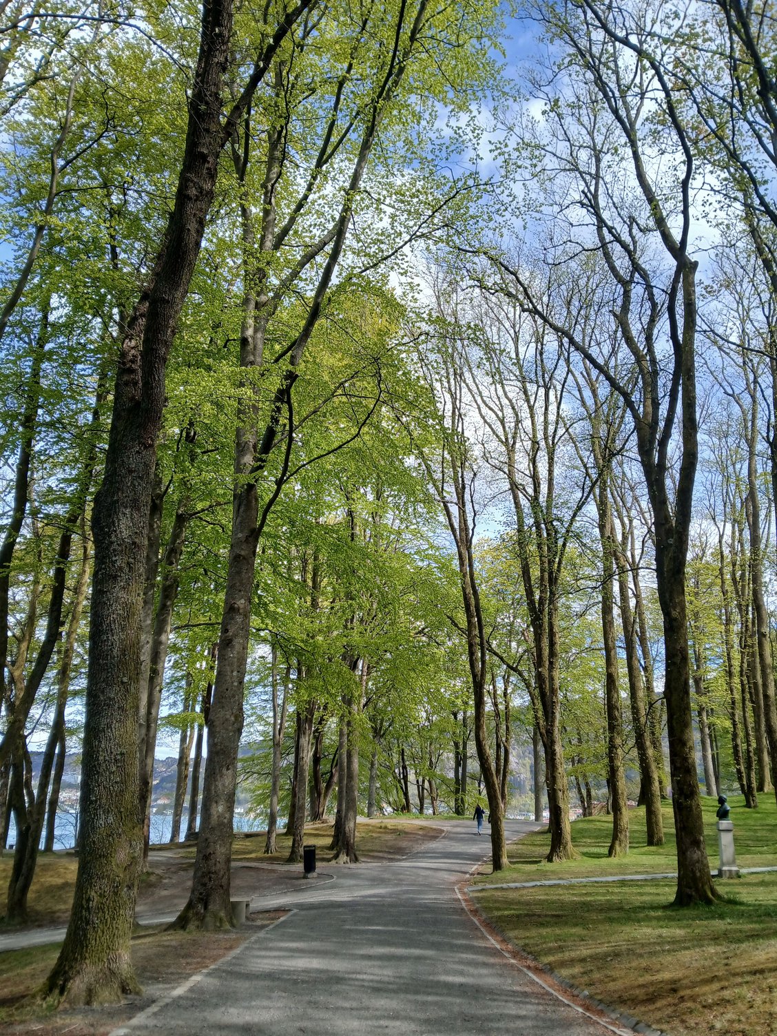 At the park