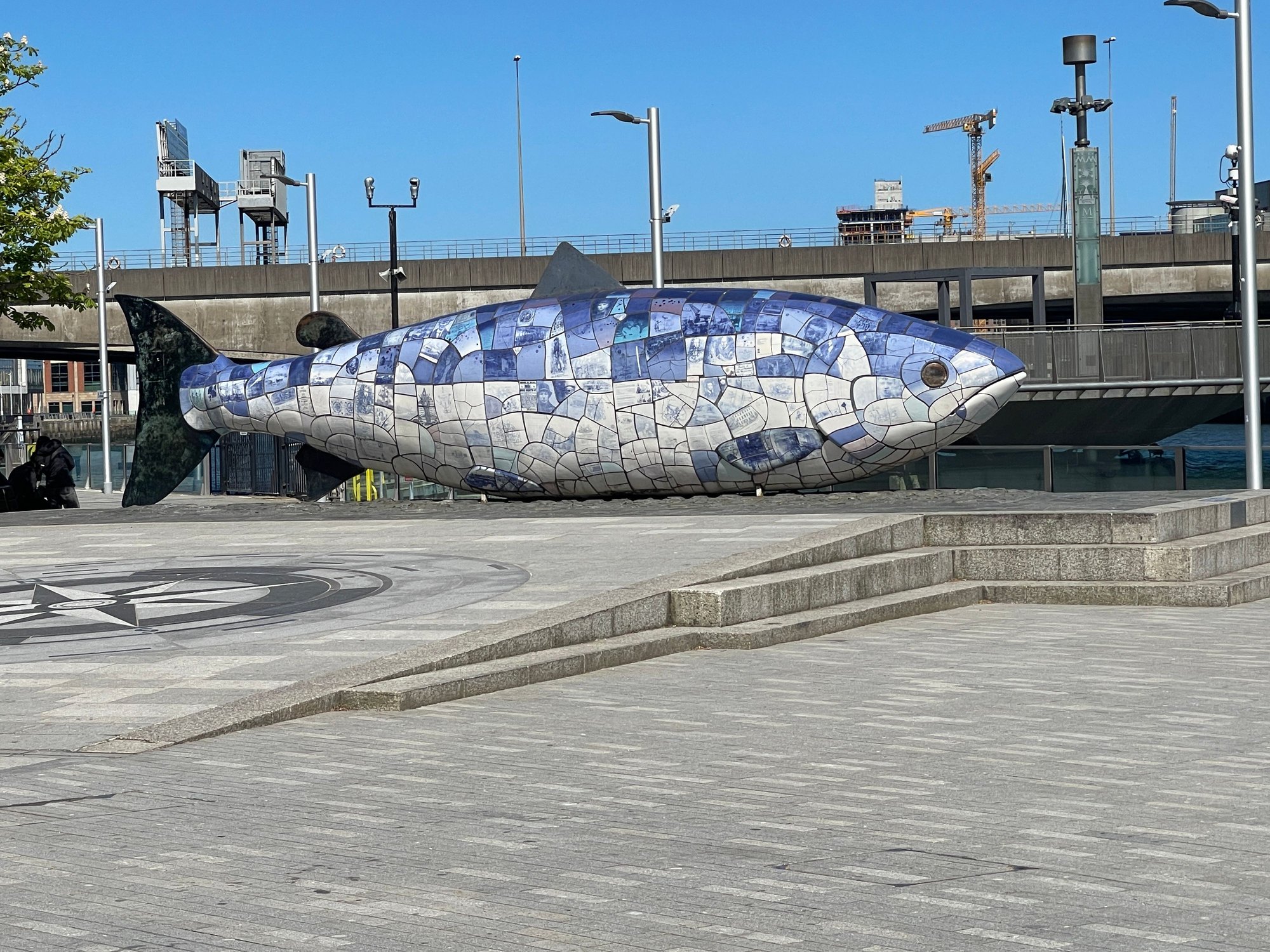 The Big Fish
