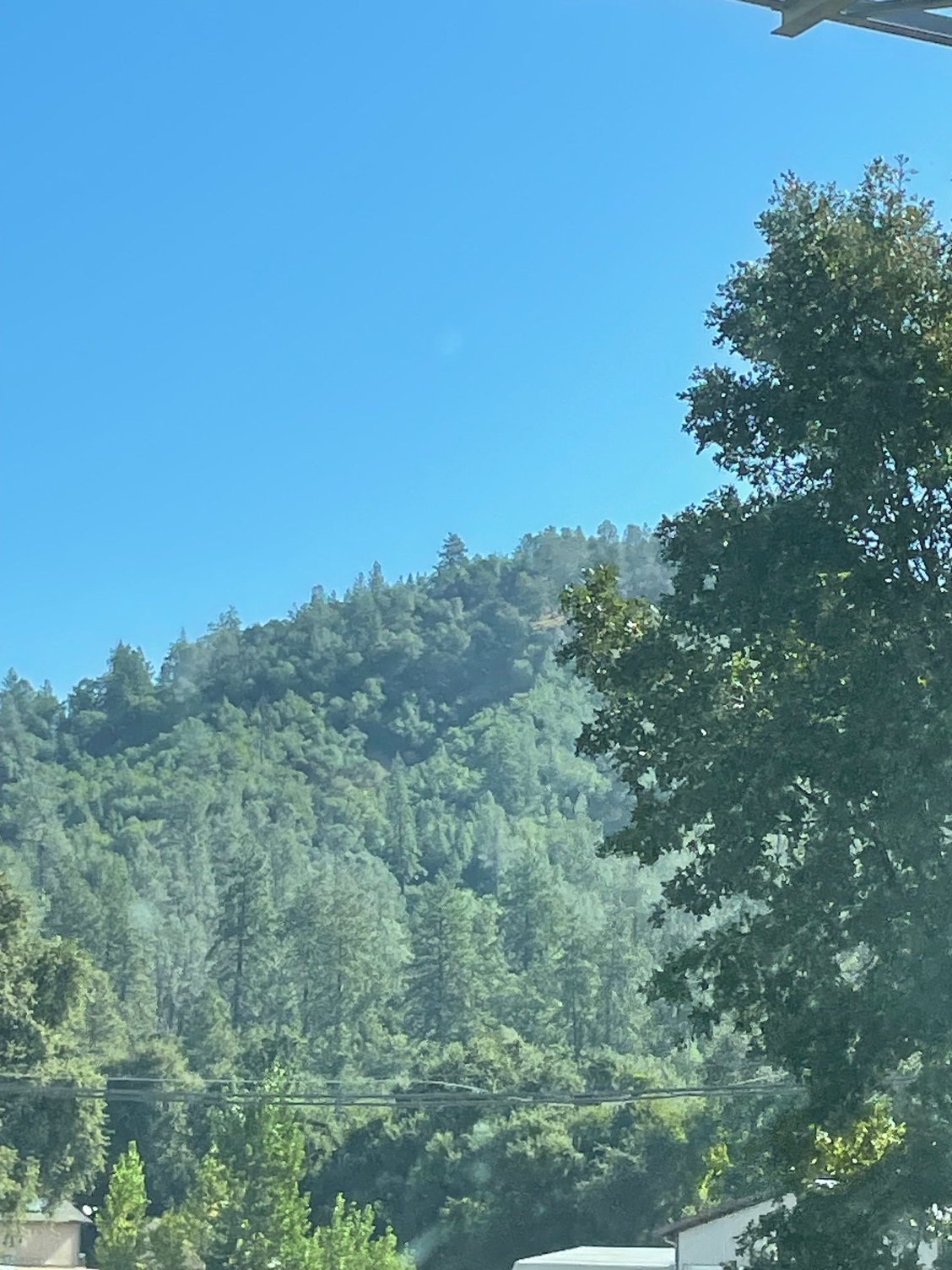 High forests line I-5 as it snakes north.
