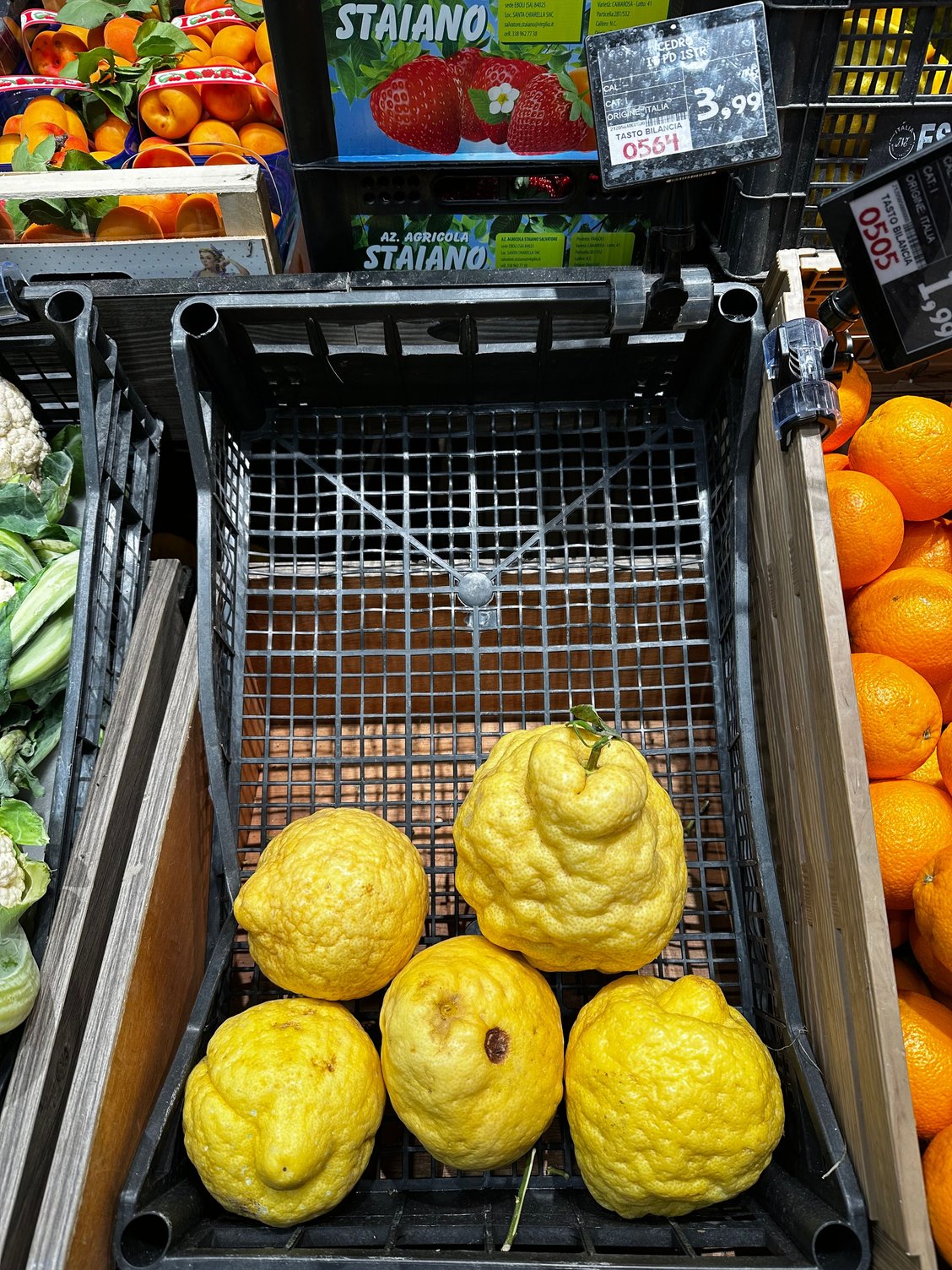 Cedri (etrog in Hebrew) in Supermarket along Via del Corso