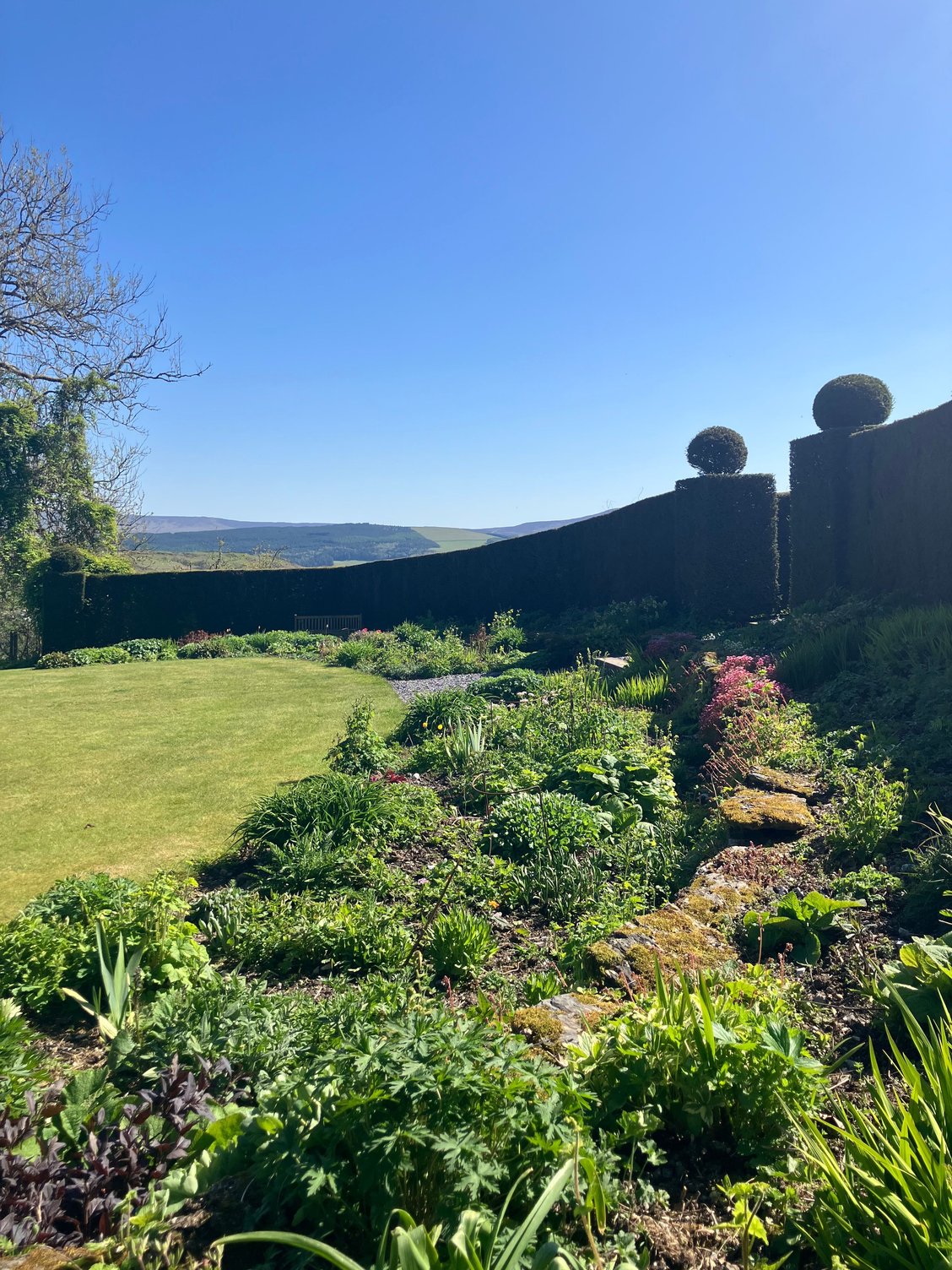 Caerau Gardens - walled garden w/vista