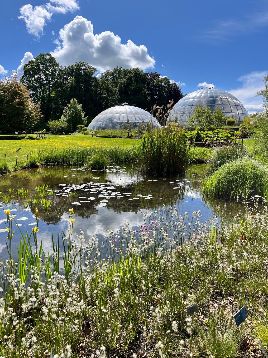 Botanical garden with its greenhouse domes