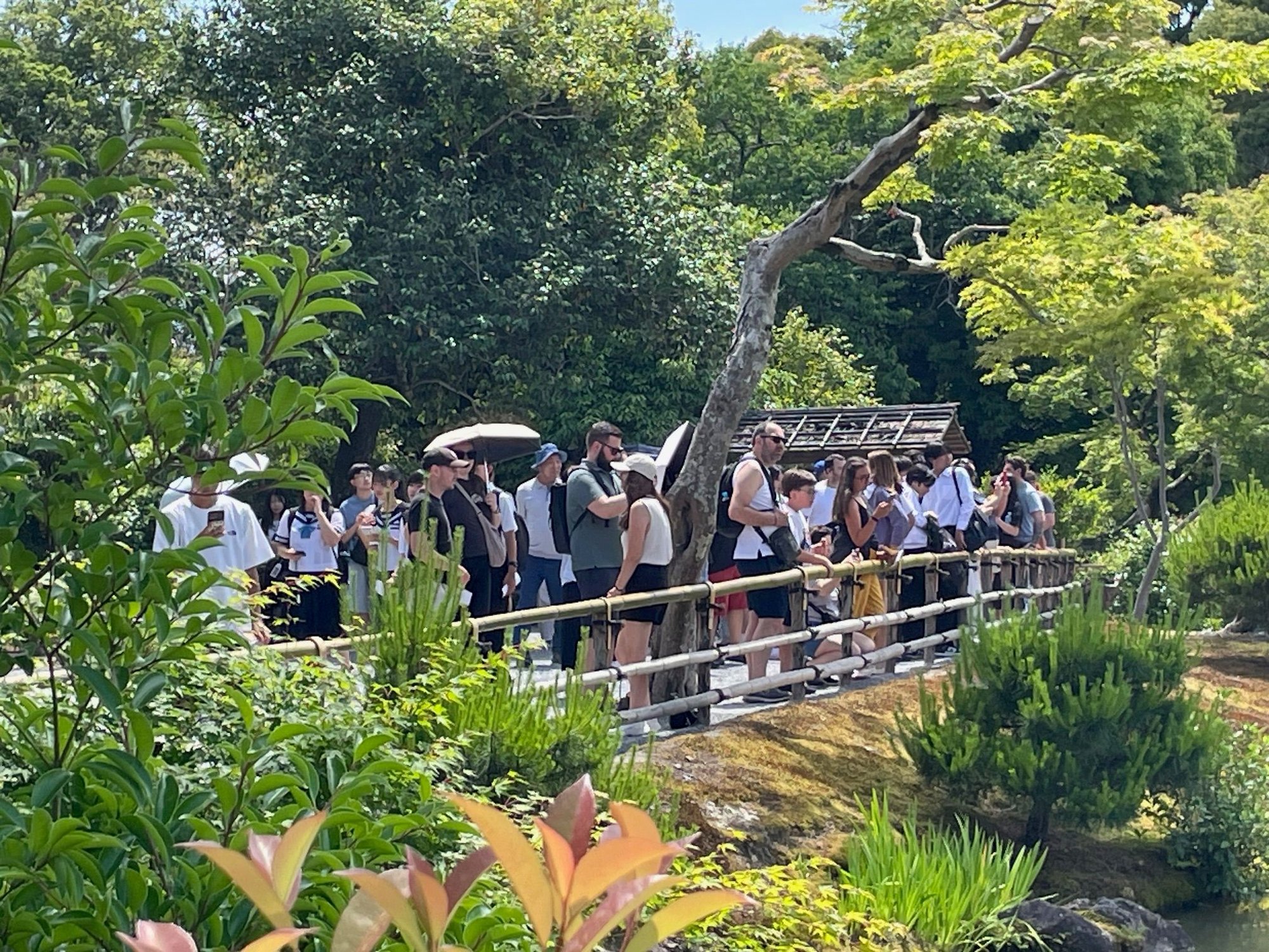 The next thing you see when you turn the corner is all of the people lined up taking pictures from where you were just standing