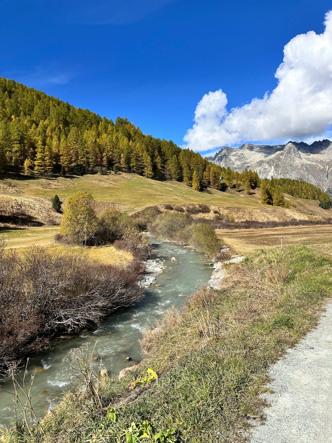 The walking back - Val Fex