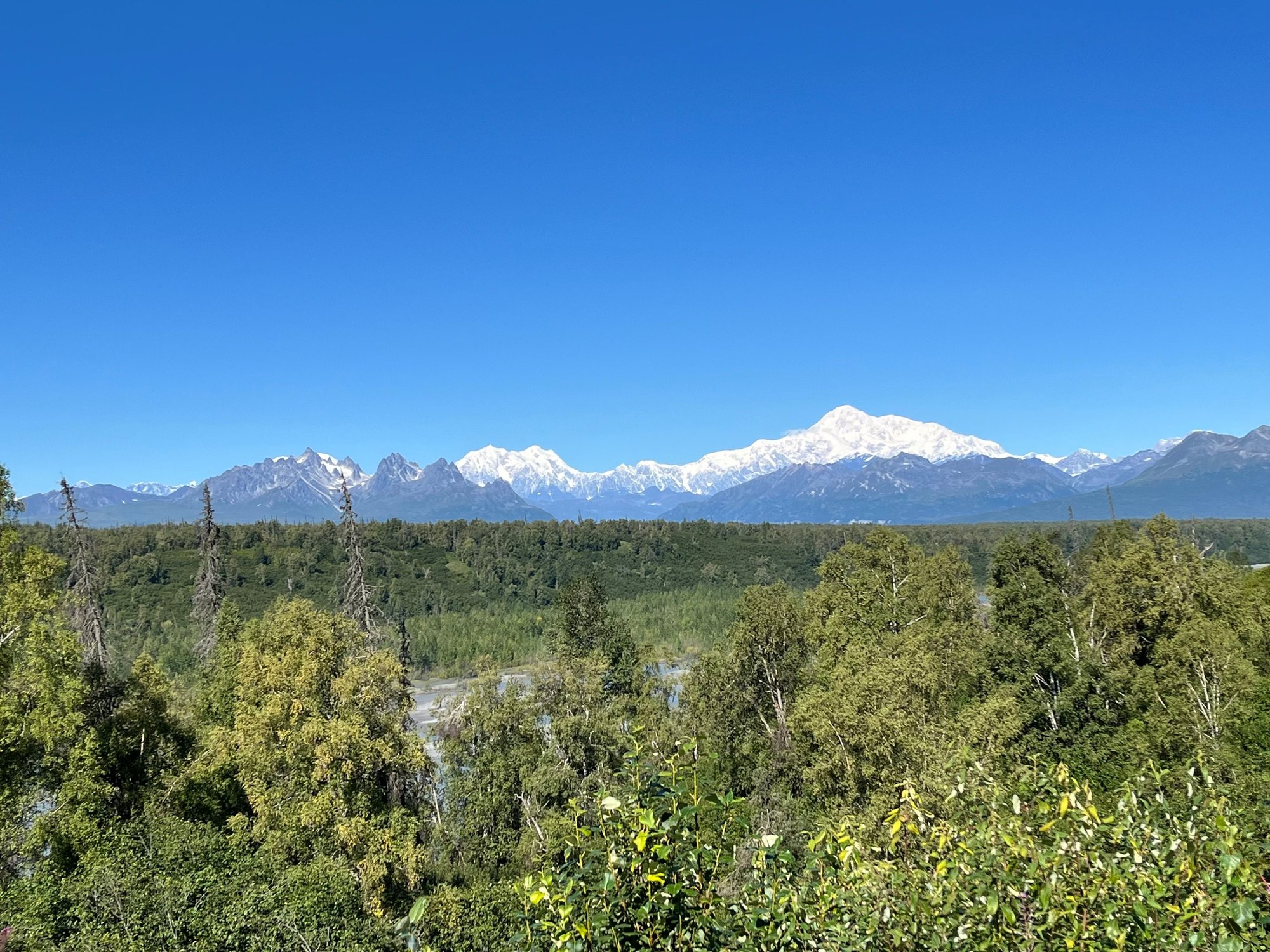 Denali South viewpoint (mile 135.2) First time we see CLEAR BLUE SKIES in 5 days!!!