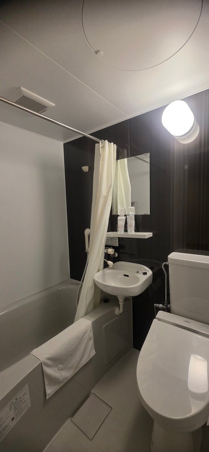 Small but funtional toilet. All japanese toilets are similar. All the WCs have a heated seat and a warm water jet spray. When will the western world learn this. This is basic hygiene. 