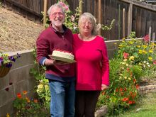 Birthday cake and pups!