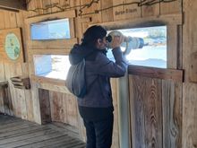 Multiple windows, some equipped with telescopes