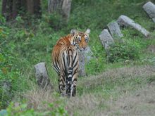 Turned to take a look at us