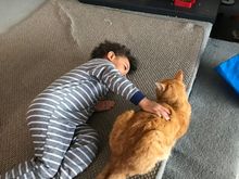 Making friends with Ginge 