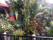 Loved the Hotel Casona Maya, Tapachula