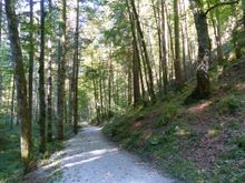 Path from Riessersee to cablecar station