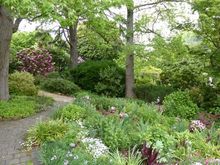 Lots of colour in flowers and leaf