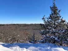 View from our hike today
