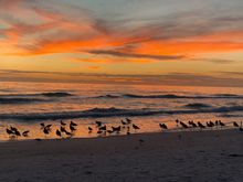 Even the birds were enjoying it!