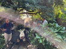 As it turns out the garden belongs to...Roberto!  Here he is talking in his garden. He also has some apartments to rent around the garden.  You can find him in the Rick Steves book.