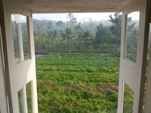 View from our window 