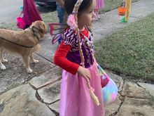 Rapunzel wasn’t on board yet to having a handmade costume.  Maybe next year. 