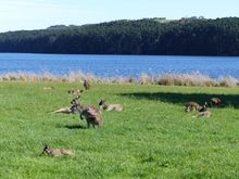 The reservoir and the locals