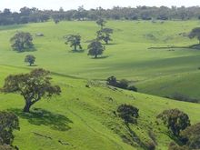 Love the rich green