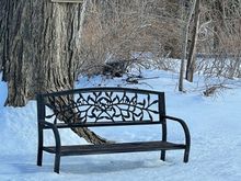 A little spot in the sun where I stop after my walks. 