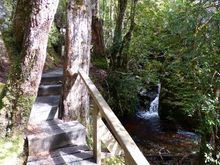 Getting higher, a few little waterfalls