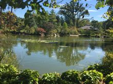 The Japanese Gardens where I volunteer. Just seeing if I can attach pictures. 