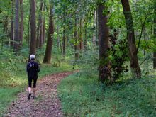 Peaceful hike thru Shaw Nature Reserve, but where are the birds??!!
