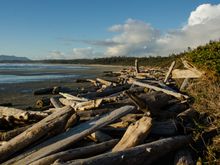Pacific Rim Park: South Beach (Kwisitis). This was the site of a few scary wolf incidents, where dog walkers got the scare of their lives while slowly being corralled or surrounded by the pack. The Wolf Advisory had been in place since 3 months earlier, in November. 