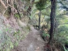 A lot of this portion of the track looks like this - and, yes, there's a pretty steep drop to one side.