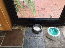Checking out madam’s bowls