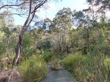 Finally some rain, creek is running