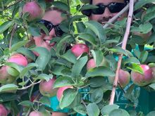 I have my kids pose for a similar picture every year