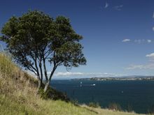 View on North Head