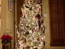 Same tree all lit up!