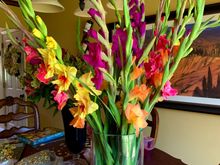 She loves Gladiolas!