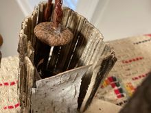 Outdoor shower (sunflower stalk as enclosure)