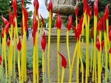 Chihuly cat tails