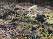 So much rain = so much water.